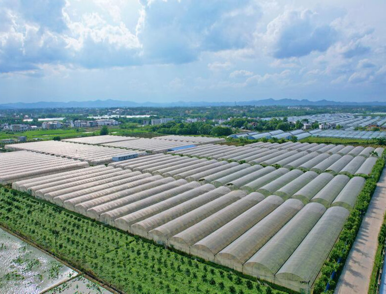 农业大棚